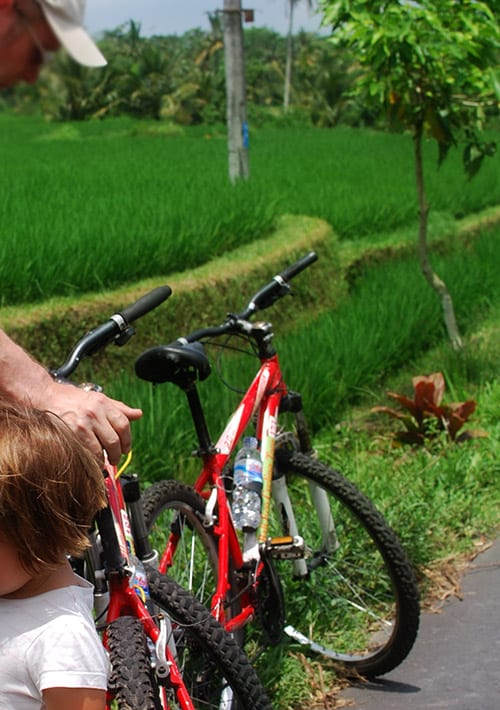 Bicycle ride in Ubud