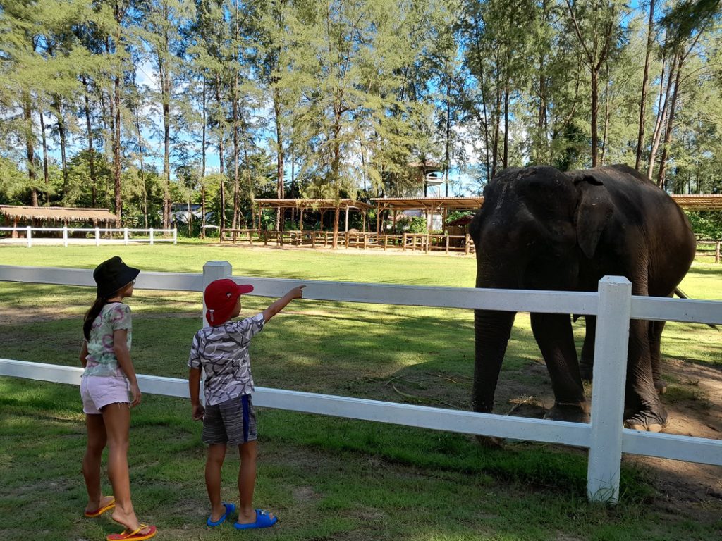 Khao Lak Elephant Home